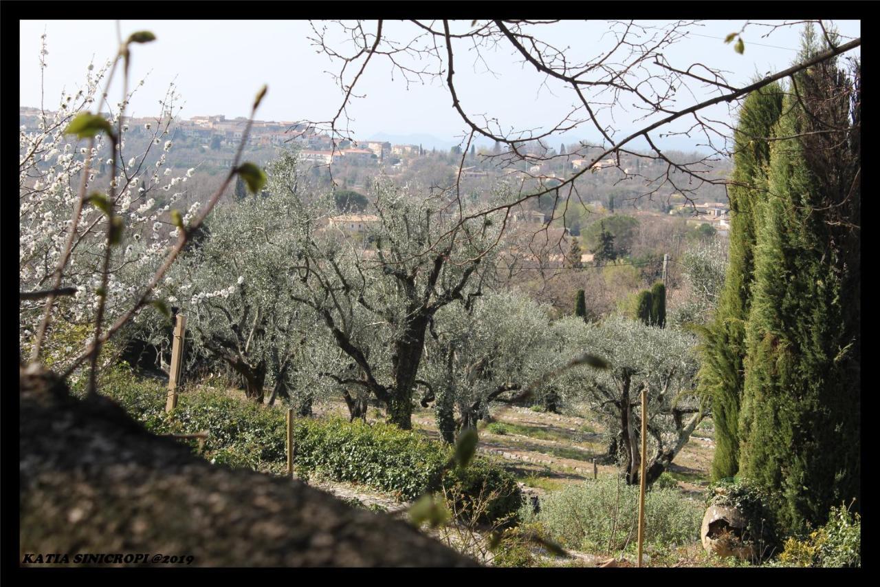 Domaine Des Tilleuls D'Or Saint-Cezaire-sur-Siagne Exterior photo