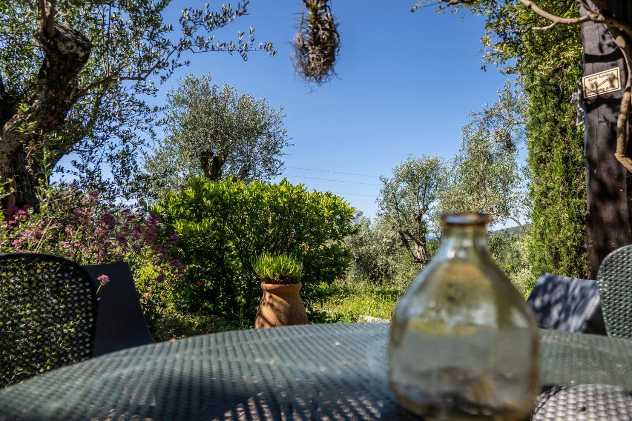 Domaine Des Tilleuls D'Or Saint-Cezaire-sur-Siagne Room photo